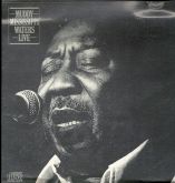 Muddy Waters