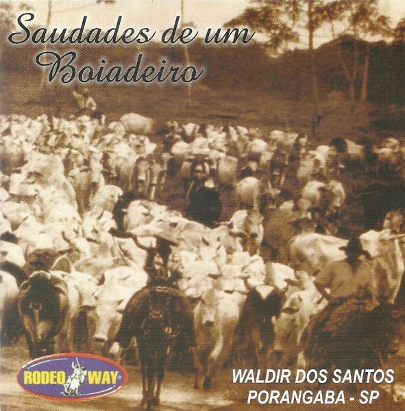 Waldir dos Santos